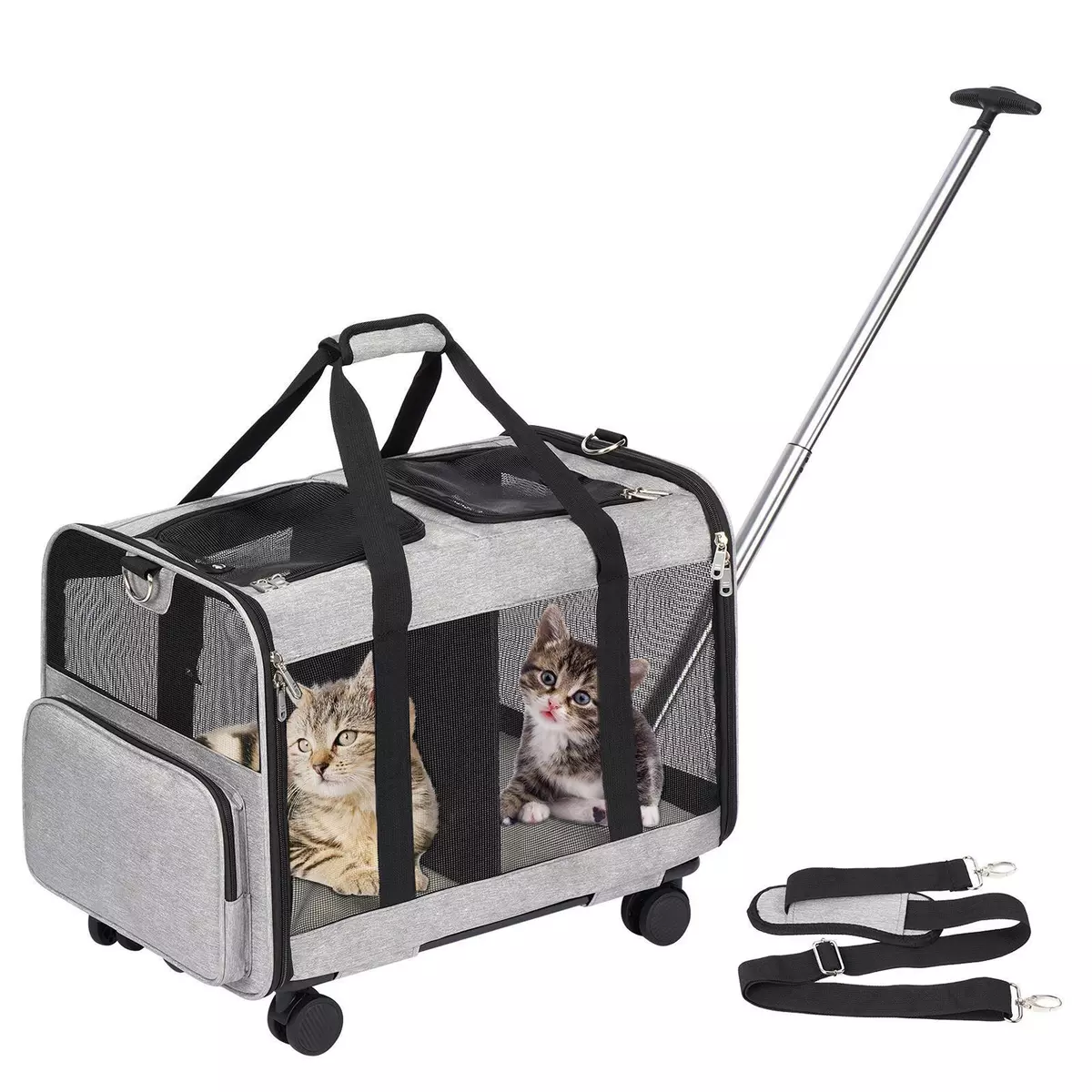 Two hotsell cat carrier