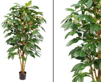 Kaffeebaum KüNstlich Mit FrüChten Und Echtstamm HöHe 150Cm Von Ibizanos