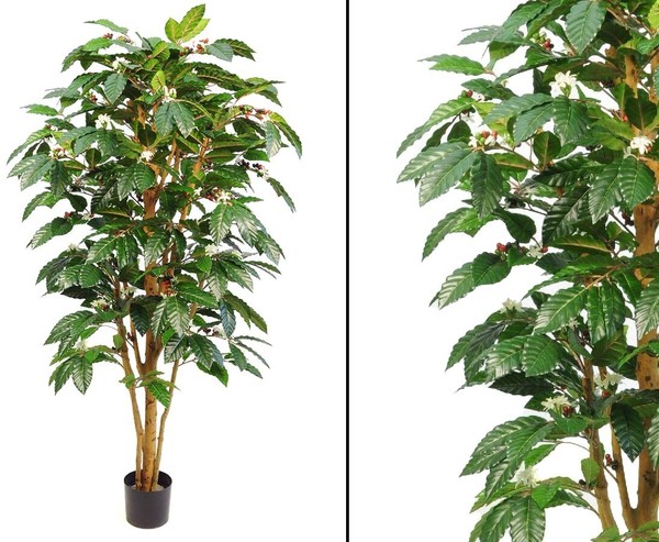 Kaffeebaum KüNstlich Mit FrüChten Und Echtstamm HöHe 150Cm Von Ibizanos-image