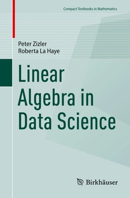 Linear Algebra in Data Science Peter Zizler (u. a.) Taschenbuch viii Englisch