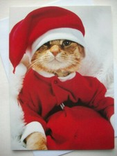 Cat in Santa Suit UNUSED Christmas greeting card E2