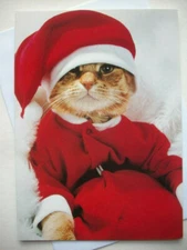 Cat in Santa Suit UNUSED  Christmas greeting card *E2