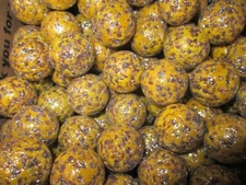 2 POUNDS 7/8 INCH SPINOSAURUS MEGA / VACOR MARBLES