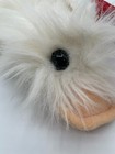 Bild 8 von 11