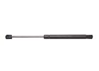 Tailgate Lift Support AMS Automotive 6265 fits 1990 VW Passat
