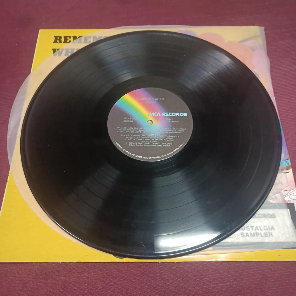 REMEMBER WHEN Vintage Nostalgia Vinyl Record 12" Music Album (12 Tracks) 33RPM - Image 3 of 4