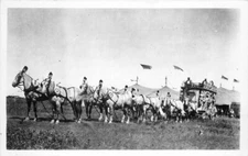 Citrus Wagon Horses Tent 1940s RPPC Photo Postcard 20-4768