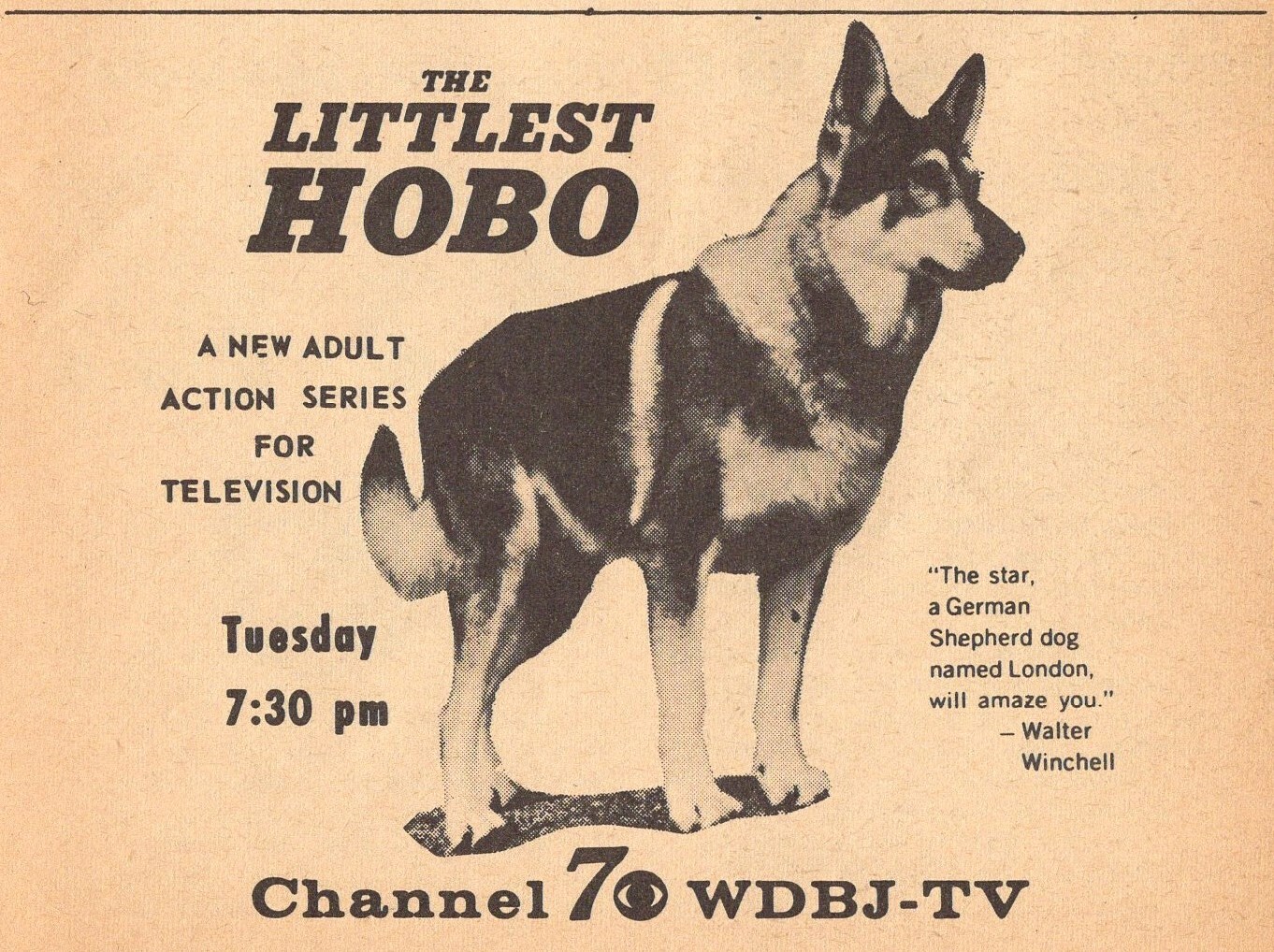 s-l1600.jpg