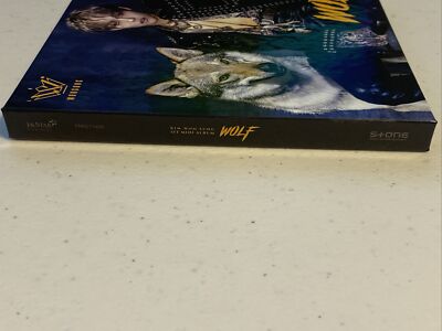 Kim Woo Sung Kpop The Rose 1st Mini Album Wolf Opened With Picture