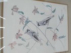 Picture 2 of 6