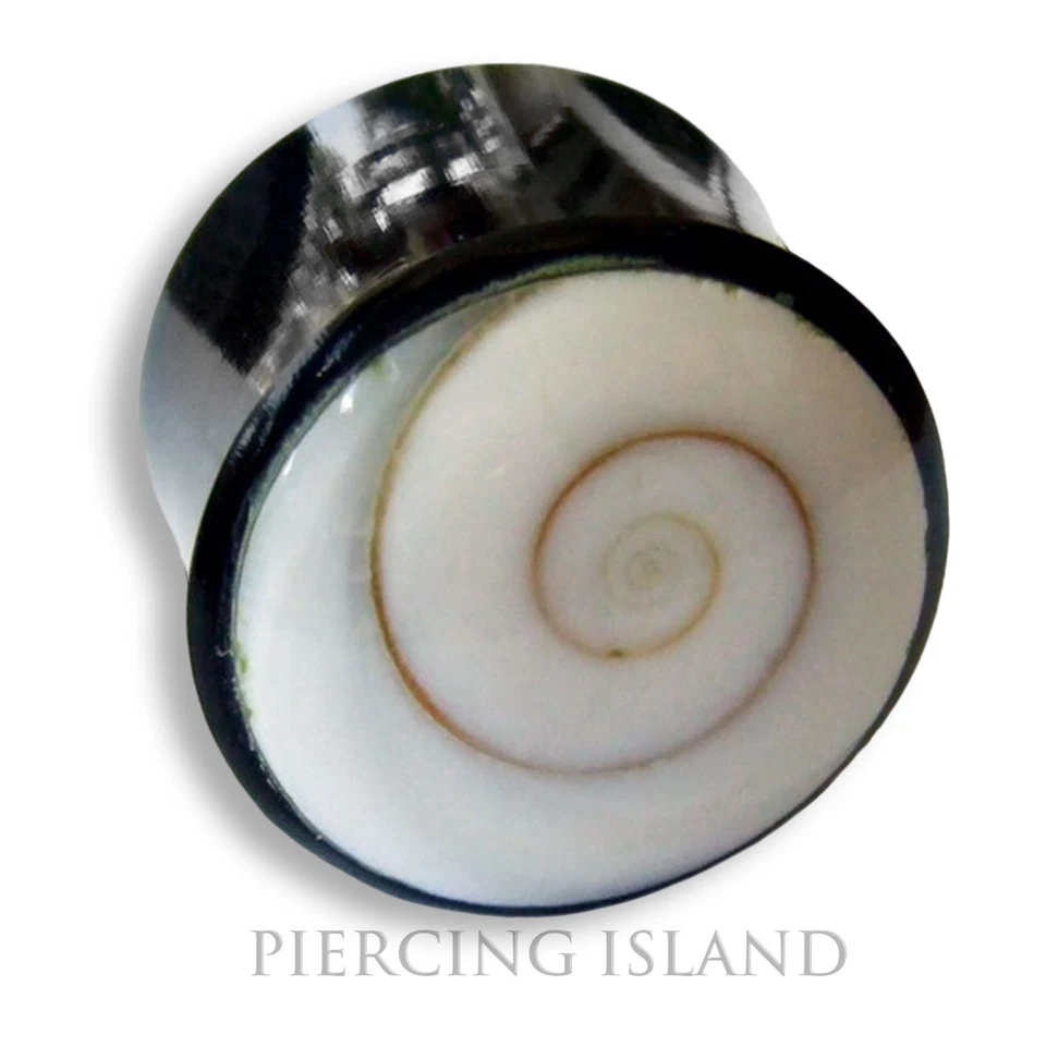 6mm - 22mm HORN Shiva Muschel Flesh Tunnel Ear Plug Ohr Piercing Lobe 220 - Bild 1 von 1