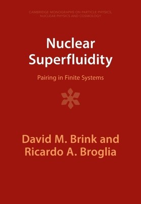NUCLEAR SUPERFLUIDITY by David M. University of Oxford Brink Paperback Self Help