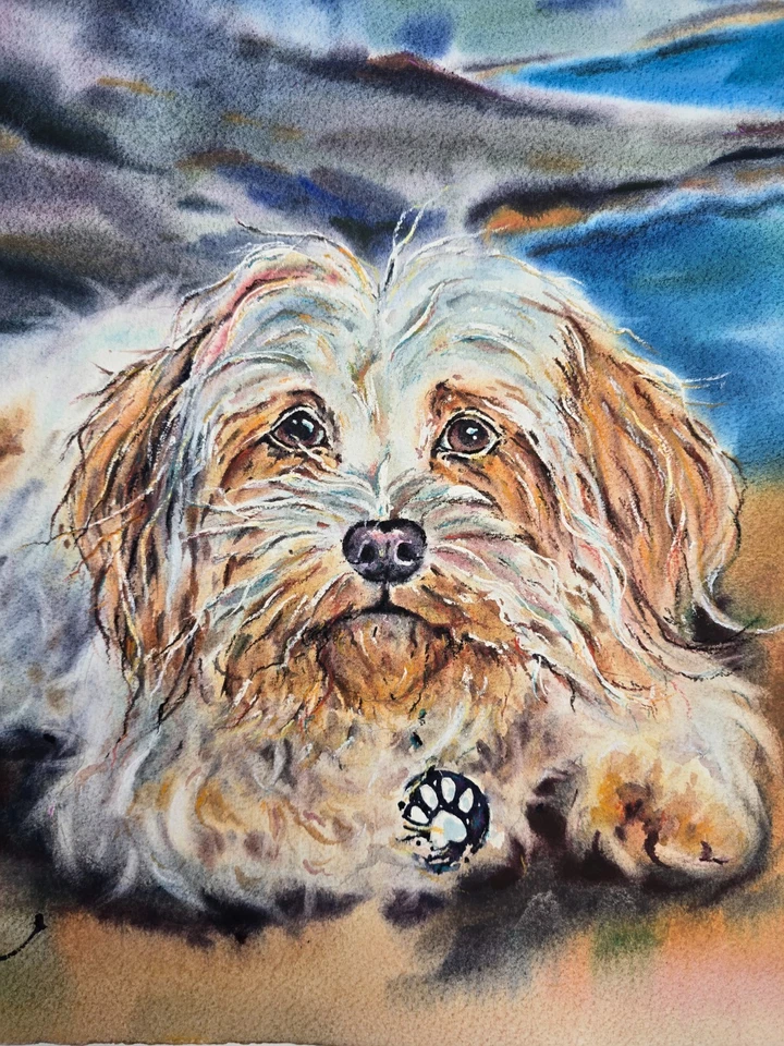 Peinture originale aquarelle pour chien Shih Tzu - art mural portrait... - Photo 2/3
