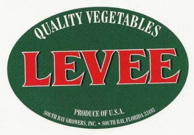 Vintage Levee Brand Florida Vegetable Unused Crate Label South Bay, Florida