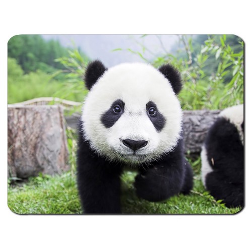 COMPUTER PC MOUSEPAD MOUSEMAT MOUSE MAT PAD GIFT COOL MULTIPLE DESIGNS AVAILABLE - 第 27/40 張圖片