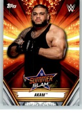 2019 WWE Summerslam #1 Akam