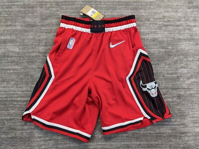 Nike Swingman Chicago Bulls 75th City Edition Shorts NWT Size Small