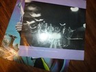 Picture 5 of 8