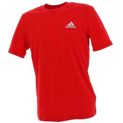 6 PAIA CALZA UOMO POMPEA LUNGO COTONE FILO DI SCOZIA 100% MAGLIA LISCIA No Stress