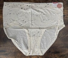 Plus Sz 18/20 Lane Bryant Cacique Comfort Bliss Full Brief Panty Cream Silver