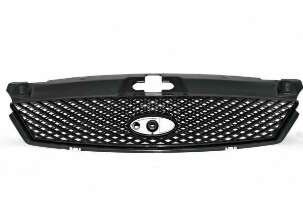 Front BLIC 6502-07-2555990P Radiator Grille for FORD