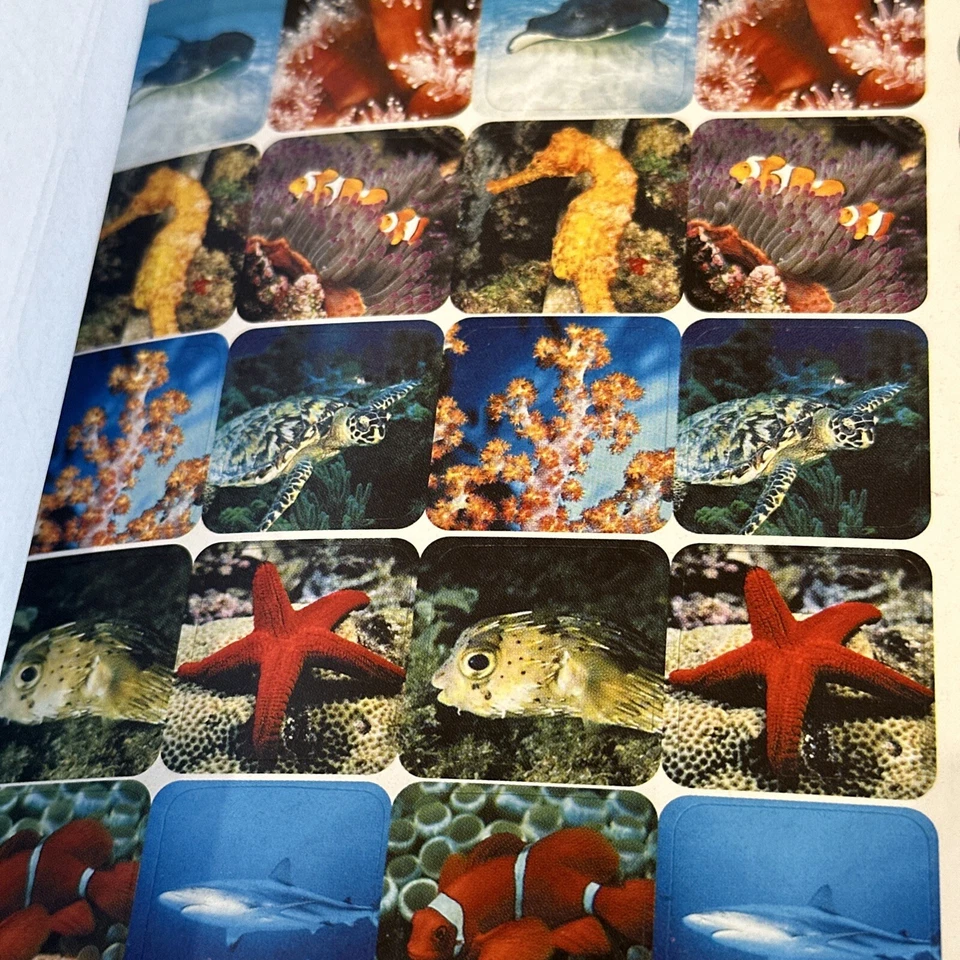 860动物自然照片贴纸14张新品 — 第 3/4 张图片