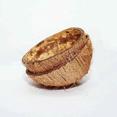 Two Coconut Shell Halves FREE SHIPPING WORLD WIDE