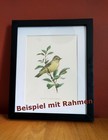 Bild 4 von 6