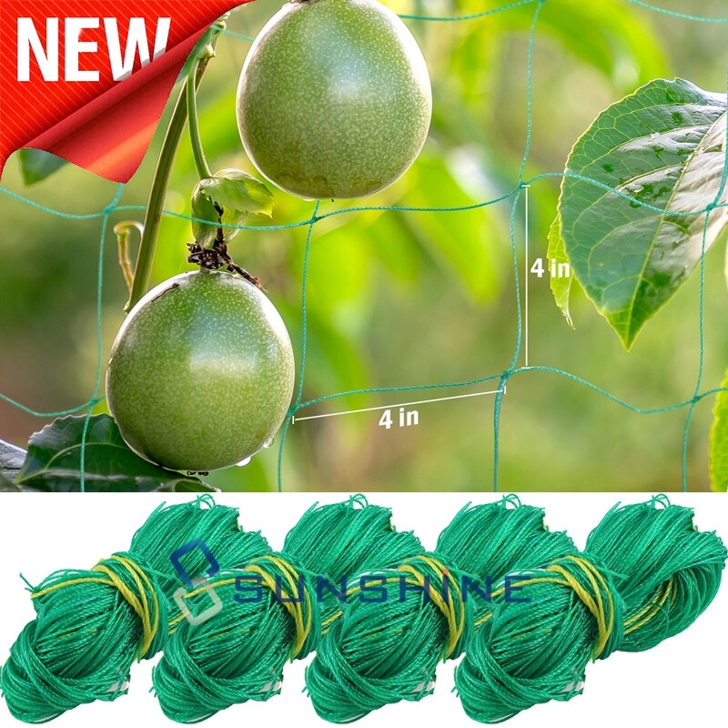 Malla De Plantas Hidroponicas Cosecha Enrejado De Frutas en Escalada para Jardín