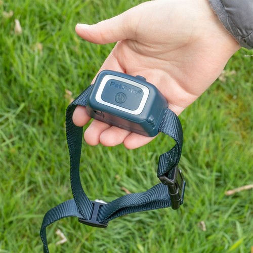 Petsafe Antibellhalsband Spray Halsband Sprühhalsband Hundeerziehung Band Hunde - Bild 10 von 12