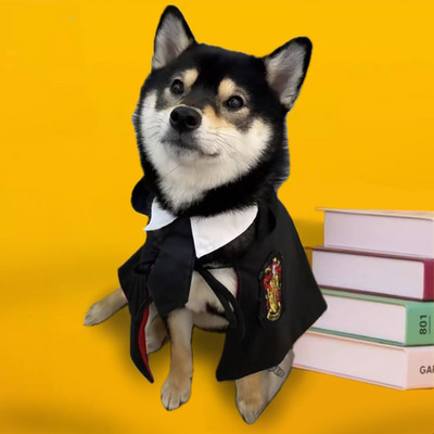 Harry Potter Academy Style Dog Costume   Pet Cloak for Small & Big Dogs/Cats