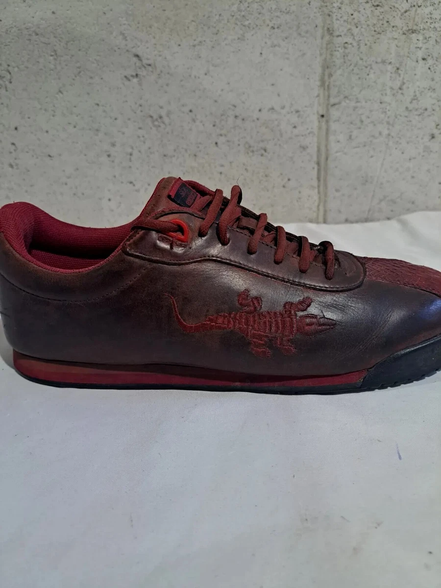 Slick exotica shop alligator sneakers