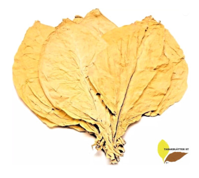 Tabakblätter Virginia Gold 10kg-ERNTE 2025-Top Qualität-Tabak-Rohtabak-Duft-Deko