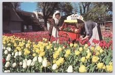 Dorothy Vander Leest & Ardyce Roehr~Tulip Time Volks Parade~Cart~Pella IA~Vtg PC