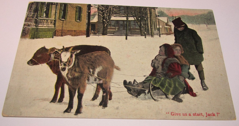 Postcard Goat & Calf Pull Kids on Sled, Skijoring, Gives Us A Start, Jack!