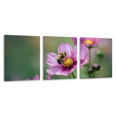 3pcs Bee on the Flower of a Pink Cosmos Plant Wall Art Canvas  Unframed/Framed