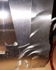 edelstahl katze 10x 15 cm rahmen bild foto taufe geburt metall silber Matt Folie