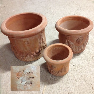 Tulipani Veri In Vaso Ceramica - Pianta Bulbosa Con Fiori, Ideale Per Giardino O Interni - Foto 8