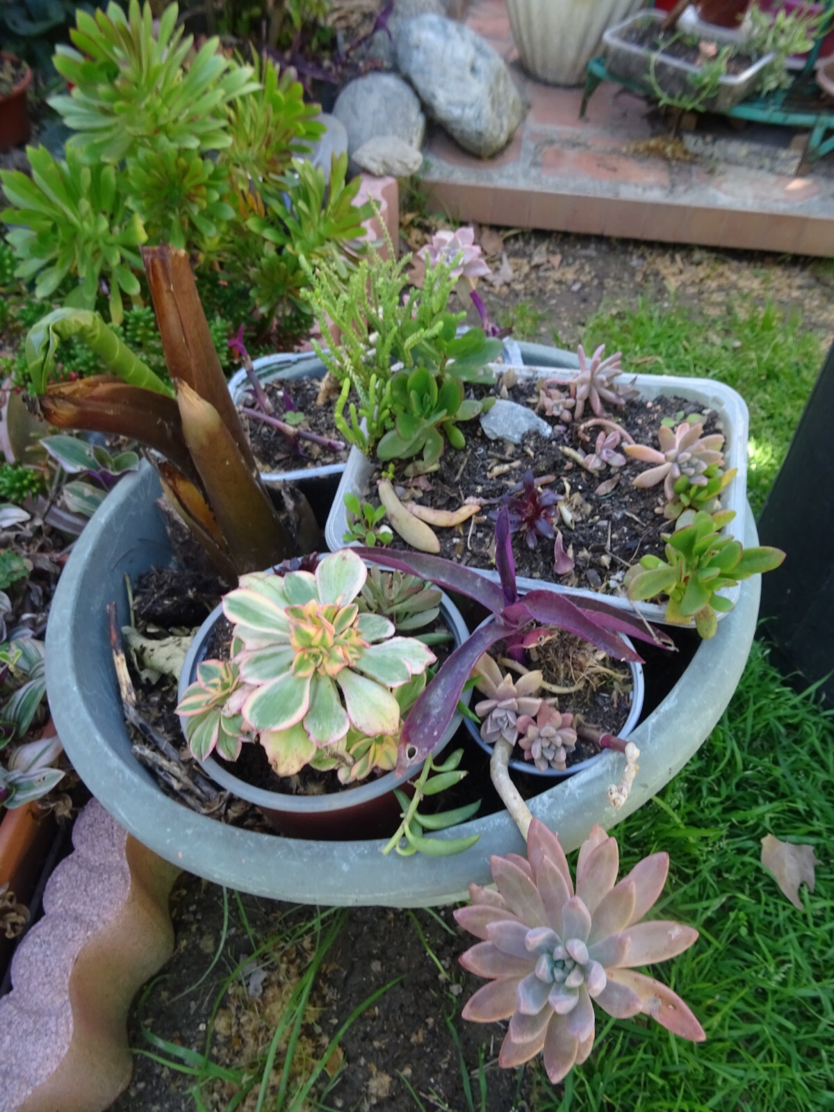Picture 10 of 24
