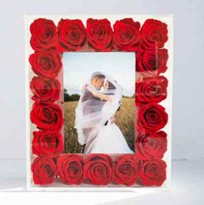 Wholesale  Preserved Rose Sets (18 & 14 Pieces) with Vibrant Photo Frames