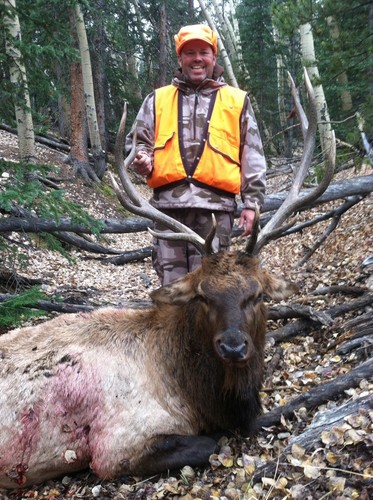 Elk Kit Cow Call & Bull Elk Bugle Call Deer Archery Hunting - Picture 4 of 4