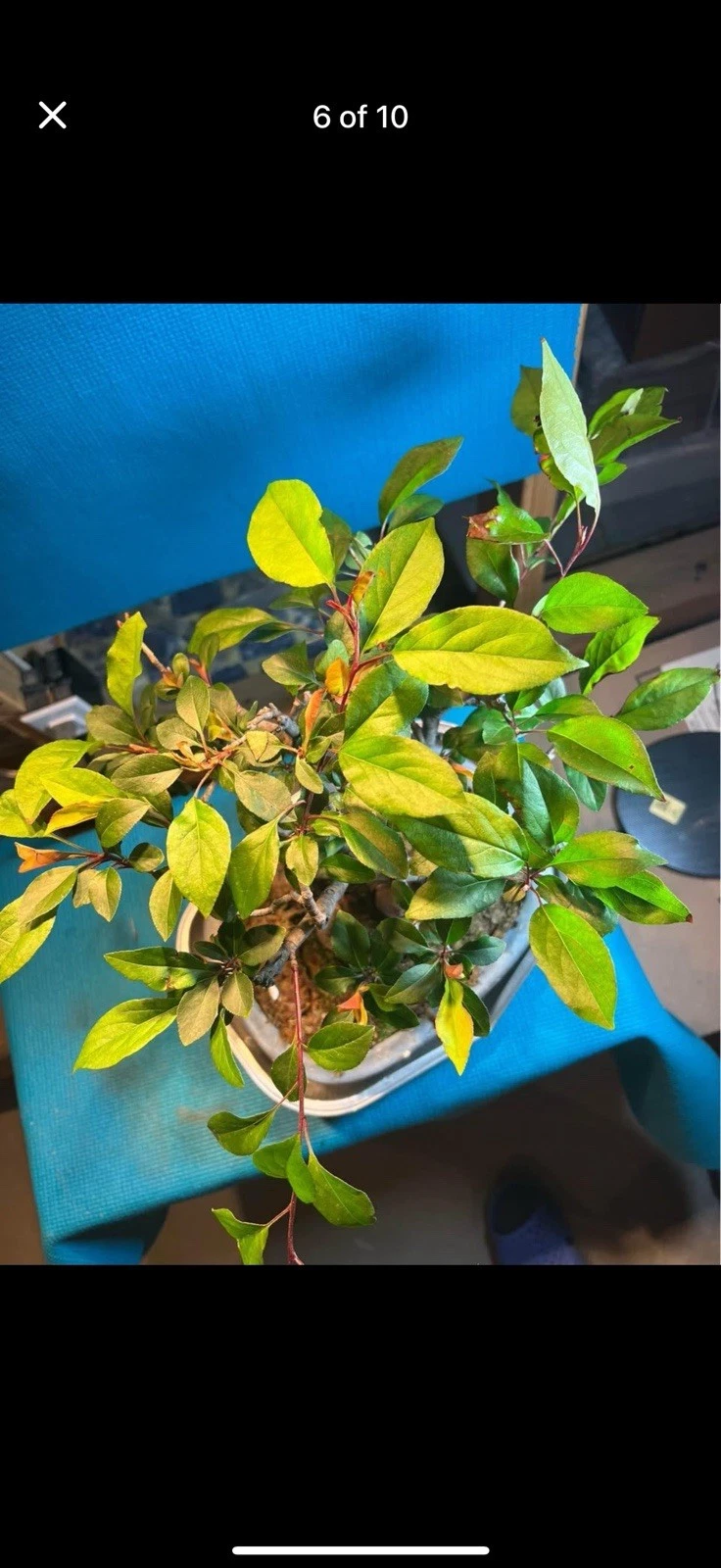 Picture 4 of 8