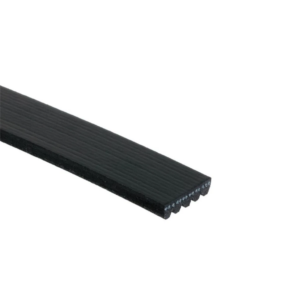 Cinturón serpentino acanalado en V estándar ACDelco genuino para Pontiac Sunfire 2002-2005 Foto 2 de 4