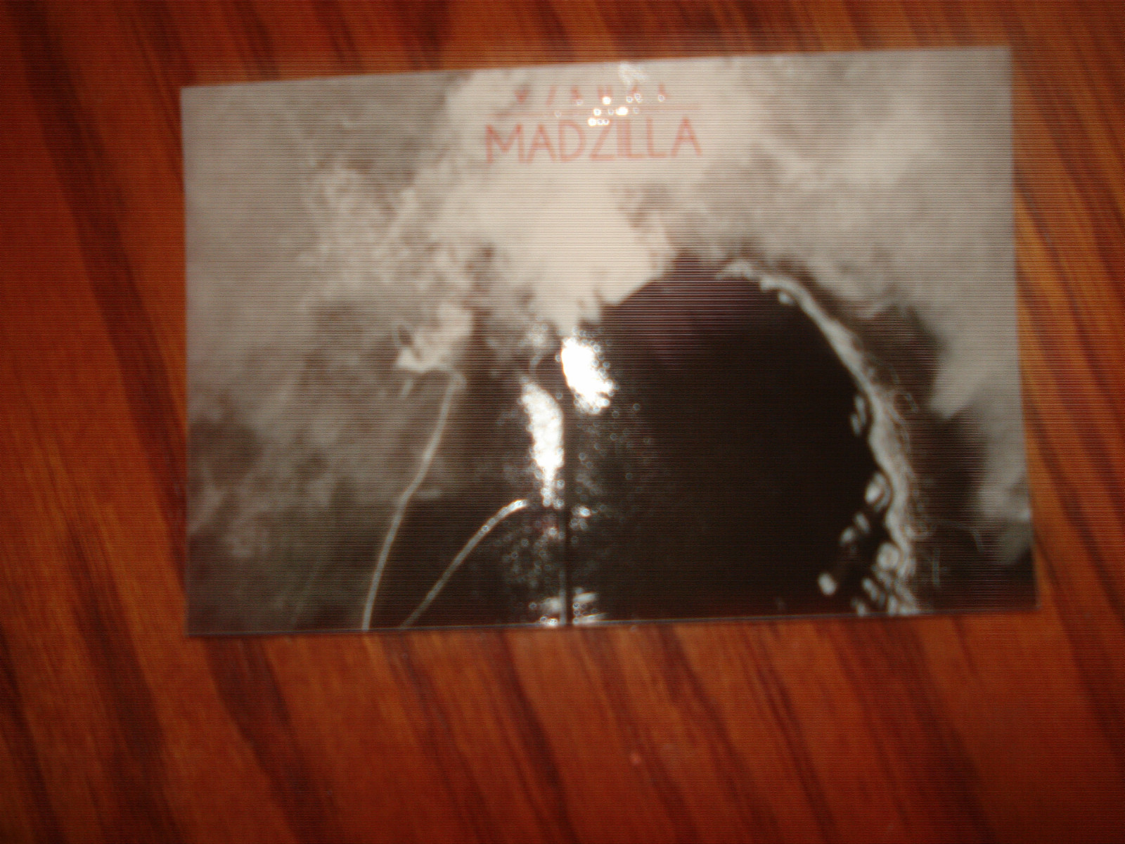 Clothing Co. Sexy Smoked Out Girl Madzilla Skateboard Sticke