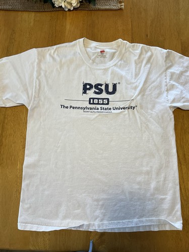 TShirt Adulte Unisexe En Coton Épais (Blanc) FRUIT OF THE LOOM