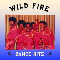 Wild Fire - Dance Hits - Vinyl Record Vl - G3Z