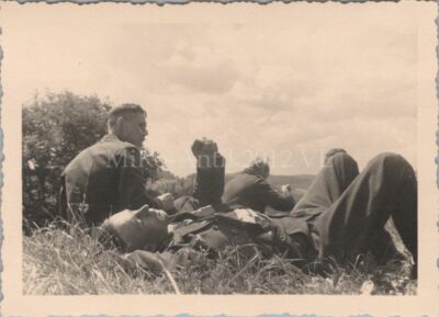 Foto, Fsw-Rgt.1, Wien - Mittagsruhe am Wienerwald, VL(80128)