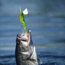 MultiJointed Simulation Shrimp Saltwater Fishing Soft Lures Fishing Accessories