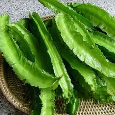 USA 50 WINGED BEAN seeds; Dara dham bala Four Angled bean Manila/Goa/Dragon bean