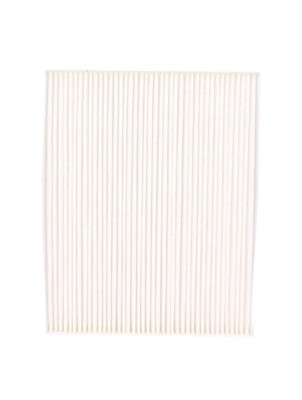 Cabin Air Filter MOTORCRAFT FP-67